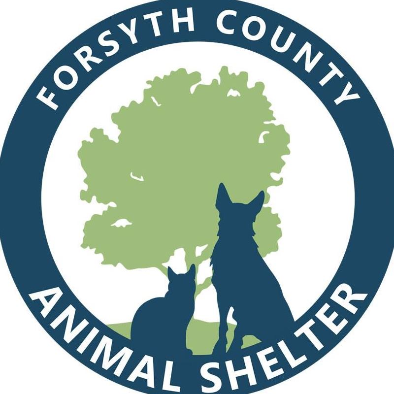 Forsyth County Animal Shelter, Cumming, Georgia